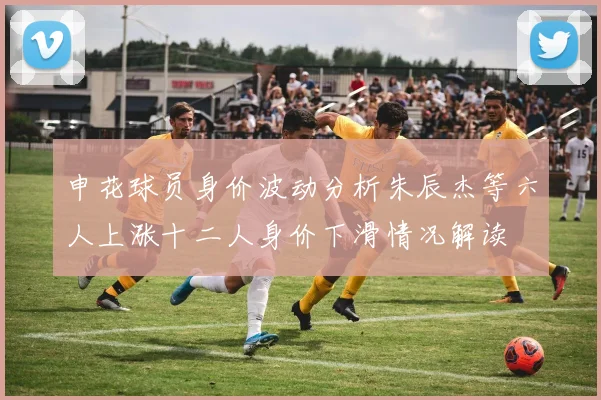 申花球员身价波动分析朱辰杰等六人上涨十二人身价下滑情况解读